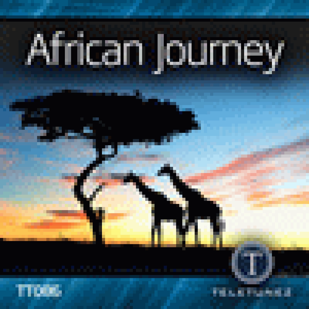 AFRICAN JOURNEY