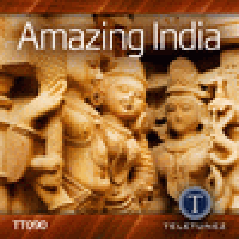 AMAZING INDIA