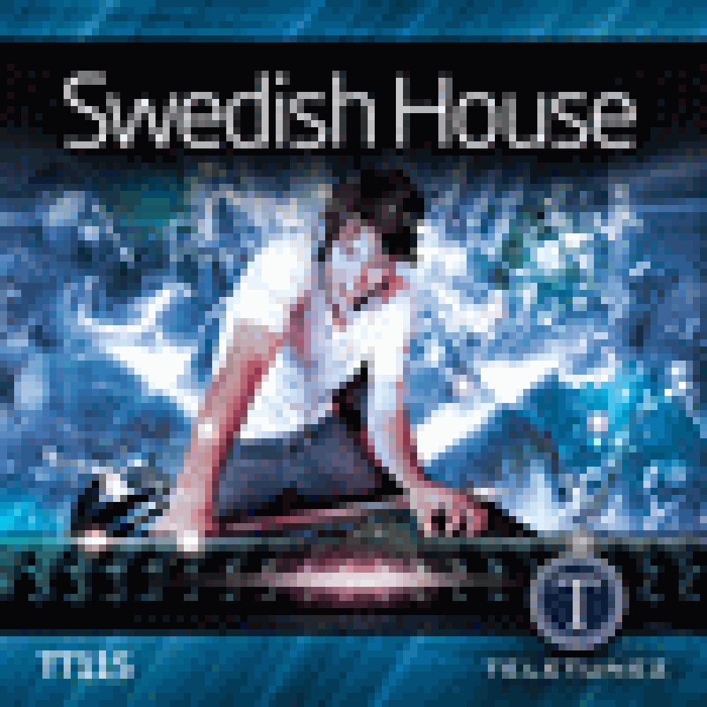 SWEDISH HOUSE