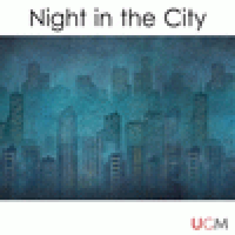 NIGHT IN THE CITY