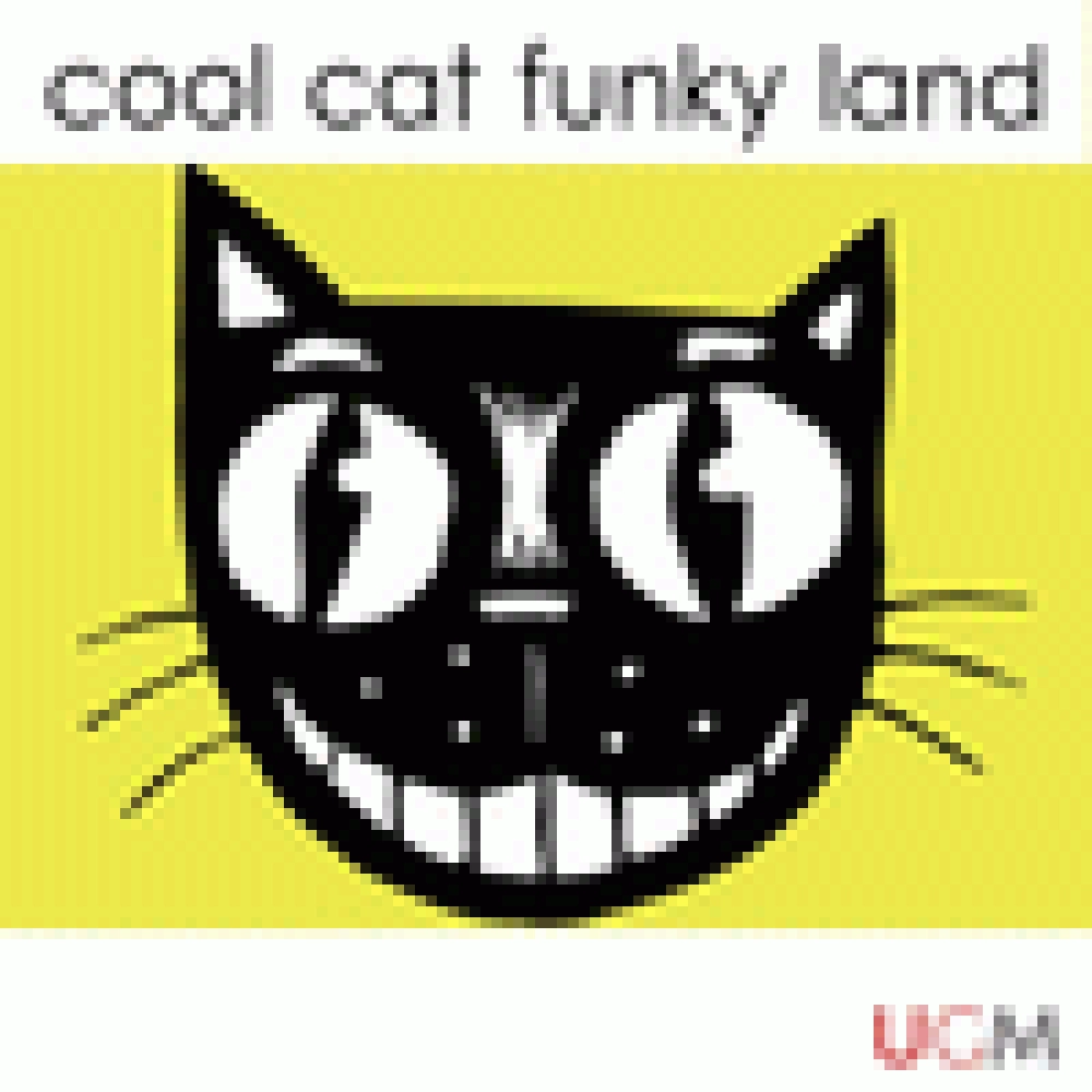 COOL CAT FUNKY LAND