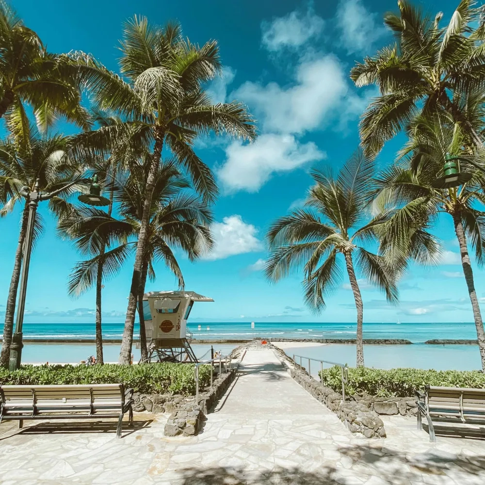 Tropical House Vibes