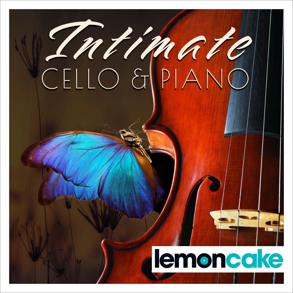Intimate Cello And Piano