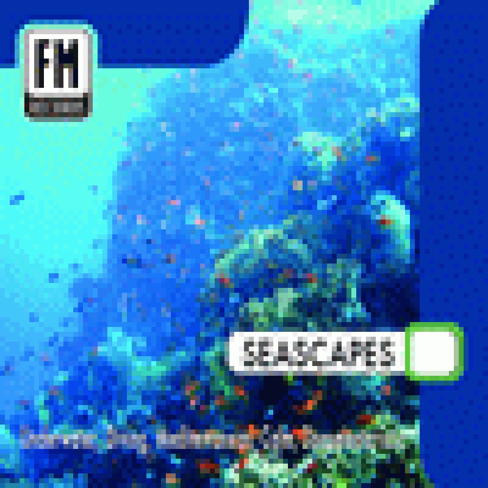 SEASCAPES