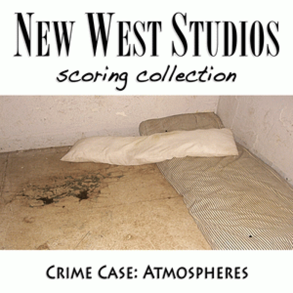 AGGRESSIVE - CRIME CASE V01