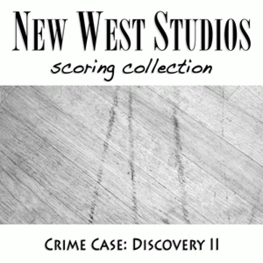 DISCOVERY II - CRIME CASE V04
